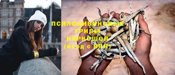 меф Майский
