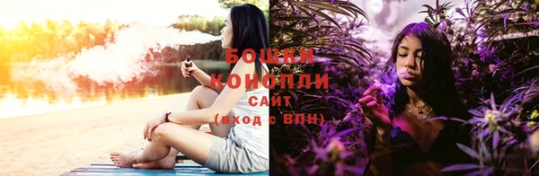 стафф Медвежьегорск