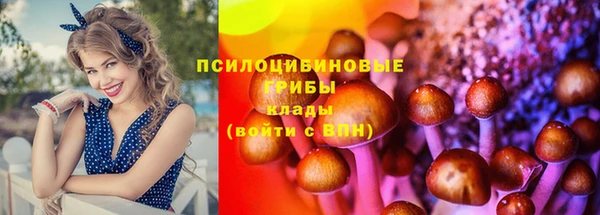 кокаин Медногорск